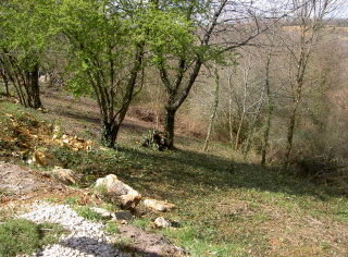 Garden Clearance on Garden Clearance